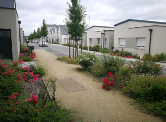 Aménagement de la rue