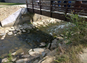 Suppression du seuil par rampe … poisson