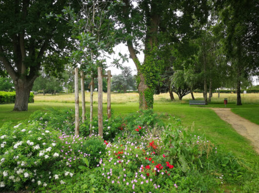 Vue sur le parc au cœur de la ZAC