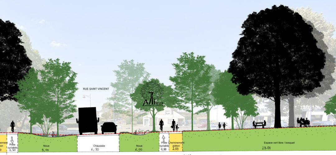 Carrefour des Noues - coupe de principe